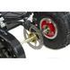 Дитячий квадроцикл XTR M4 50CC-зелений 2759170943 фото 5