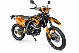 Mотоцикл кросовий Rottor Onyx  300 Onyx фото