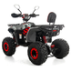 Квадроцикл XTR FORREST PRO 125 см2 червоний FORREST Red фото 4