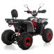 Квадроцикл XTR FORREST PRO 125 см2 червоний FORREST Red фото 3