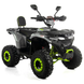 Квадроцикл XTR FORREST PRO 125 см2 зелений   FORREST green фото 1
